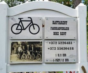 Jalgratta+rent+Võsul_002_